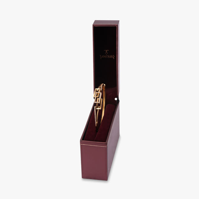 Perpetual Sophistication Bangle