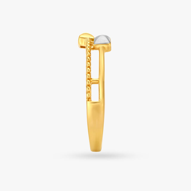 Clean Dual Tone Ring