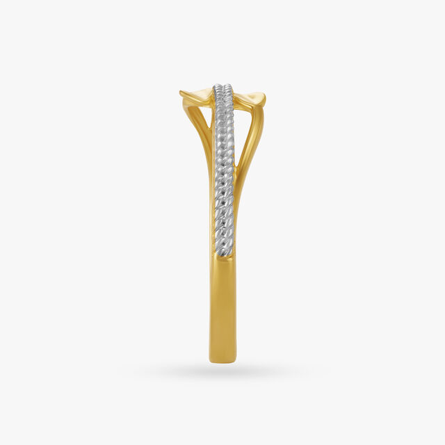 Minimal Leafy Ring