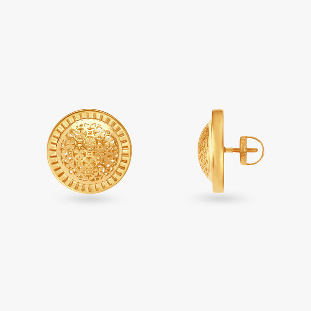 Gleaming Adornments Stud Earrings 2
