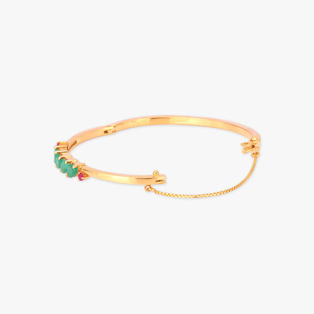 Vivid Bangle 2