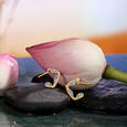 Exotic Wrap Earrings 2