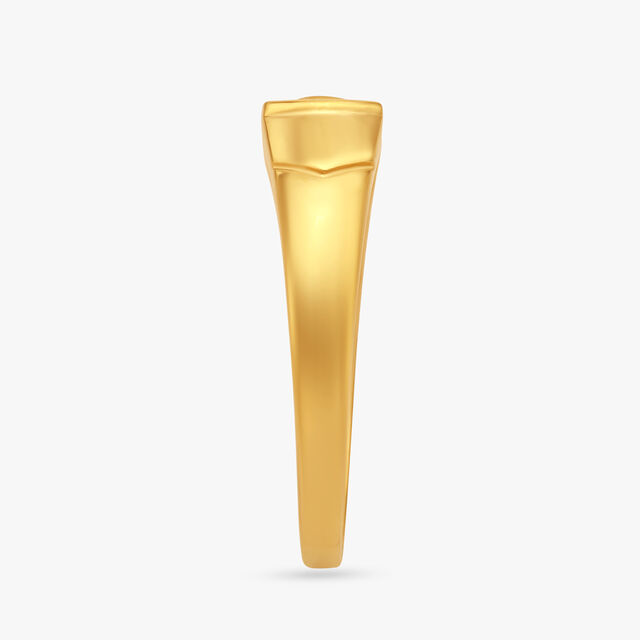 Symmetrically Impeccable Gold Ring for Men
