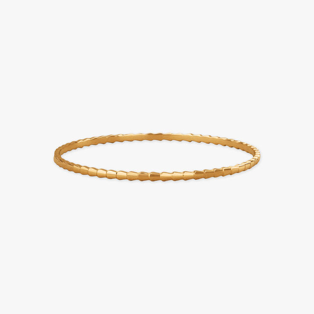Gleaming Crest Gold Bangles 2