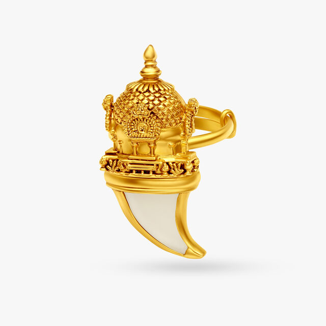 Mesmerising Tiger Claw Ring,,hi-res 2