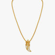 Traditional Tiger Claw Pendant with Chain,,hi-res 2
