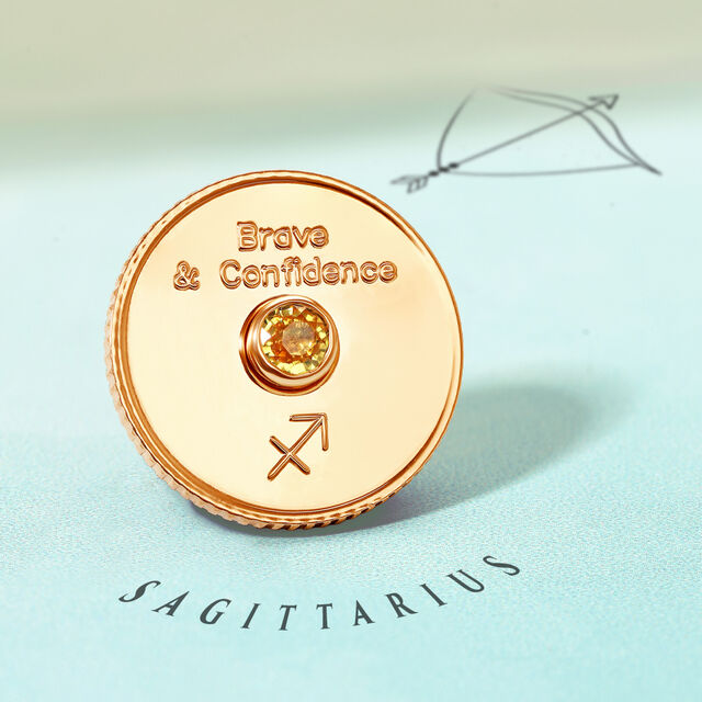 Brave Sagittarius Coin,,hi-res image number null