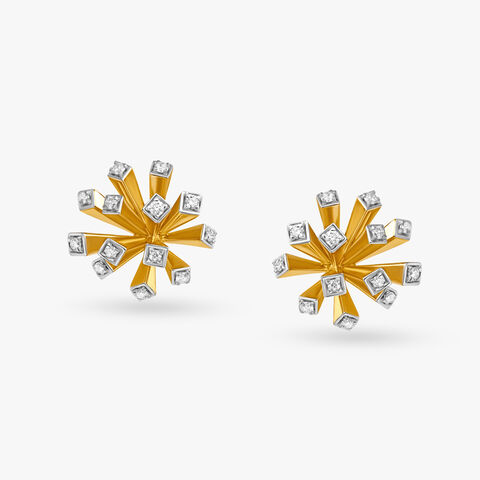 Twinkle of Eye Earrings