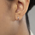 Winsome Shine Gold & Diamond Hoop Earrings 2