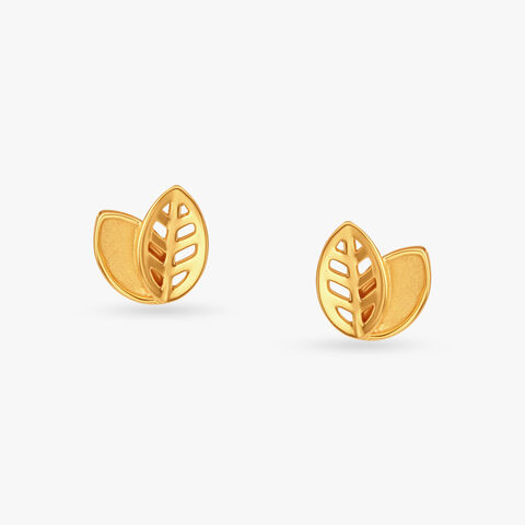 Timeless Radiance Stud Earrings