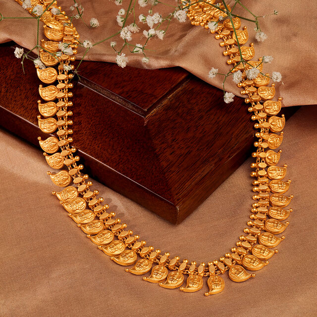 Elegant Mango Gheroo Haram