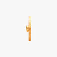 Brave Sagittarius Coin,,hi-res image number null