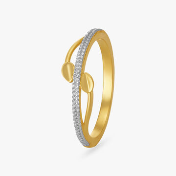 Minimal Leafy Ring