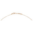 14KT White And Rose Gold Diamond Pendant with Chain,,hi-res image number null
