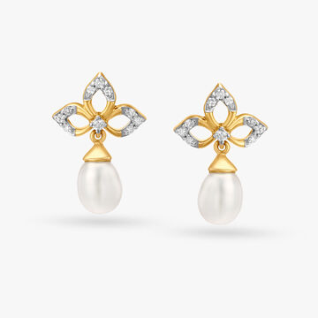 Brilliant Diamond Drop Earrings