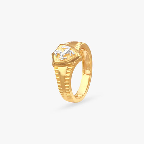 Gallop Guard Gold Ring for Men