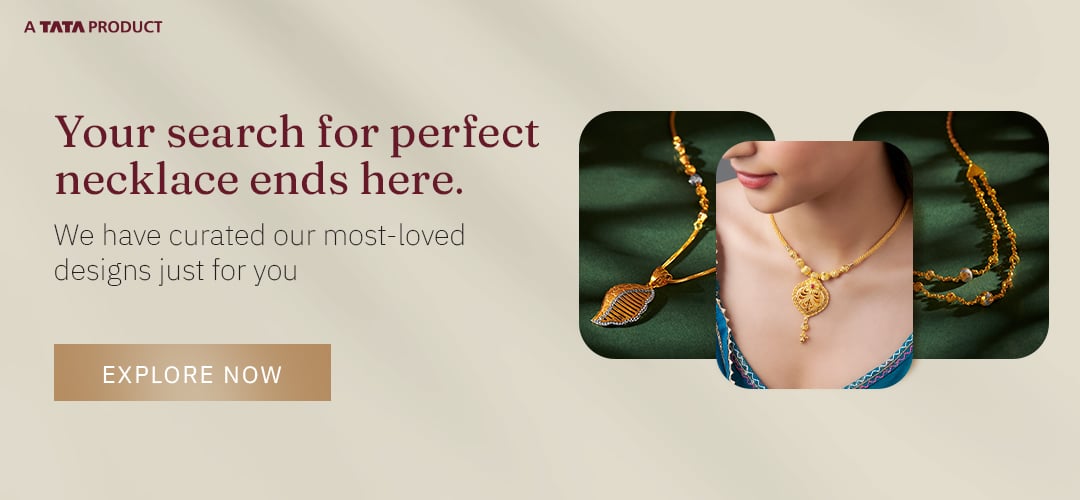 Search Banner