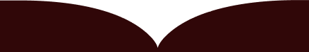 Border Curve Icon