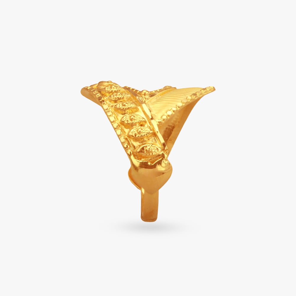 Bold Vista Gold Finger Ring,,hi-res image number null