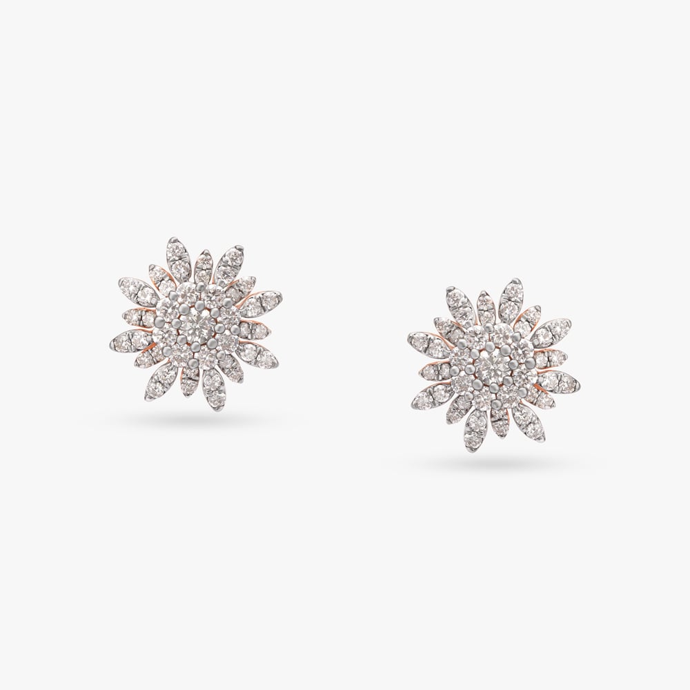 Sparks Of Nature Diamond Stud Earrings
