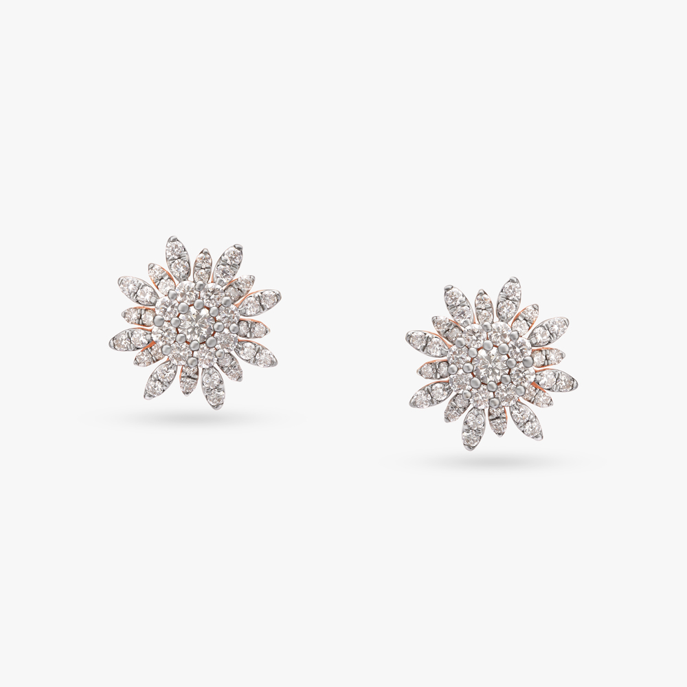 Sparks Of Nature Diamond Stud Earrings,,hi-res image number null