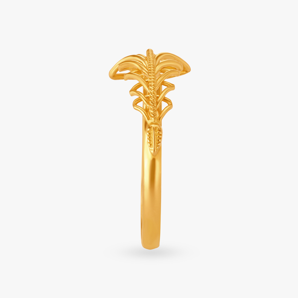 Abstract Graceful Ring,,hi-res image number null