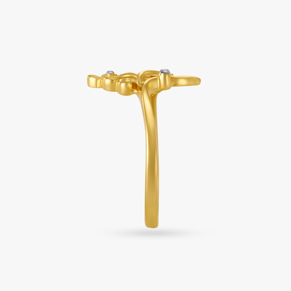 Luminous Nature Ring,,hi-res image number null