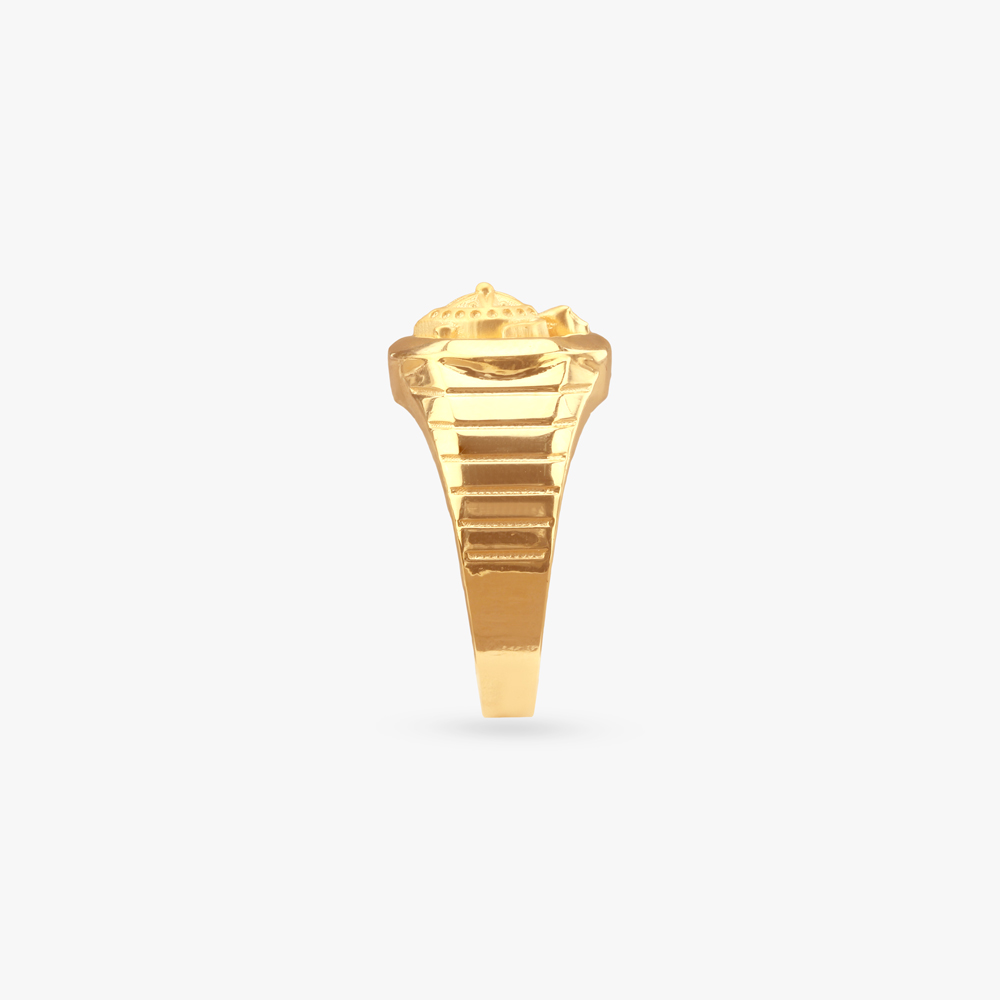 Regal Tortoise Gold Ring for Men,,hi-res image number null