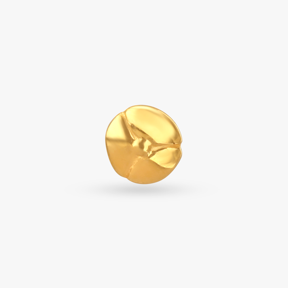Minimalist Disc Gold Nose Pin,,hi-res image number null