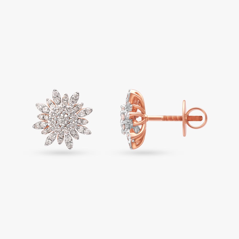 Sparks Of Nature Diamond Stud Earrings,,hi-res image number null