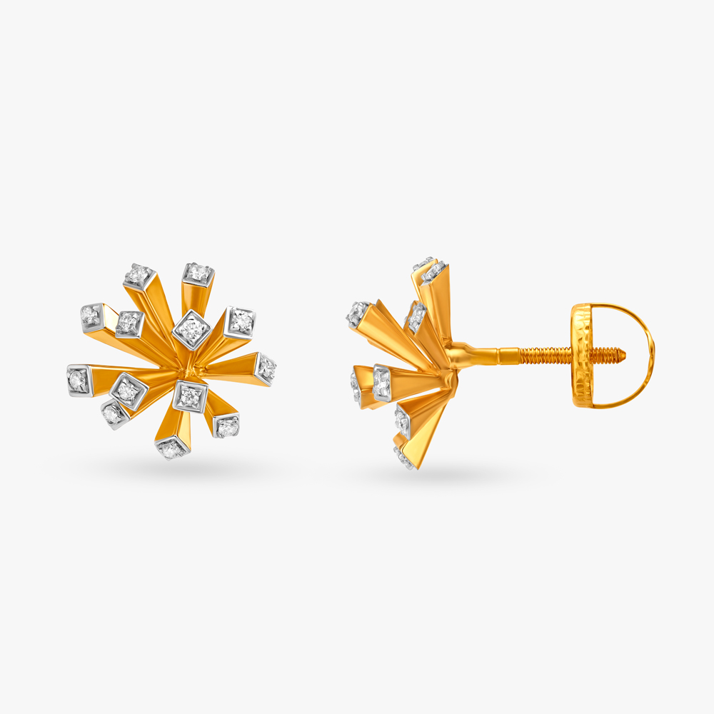 Twinkle of Eye Earrings,,hi-res image number null