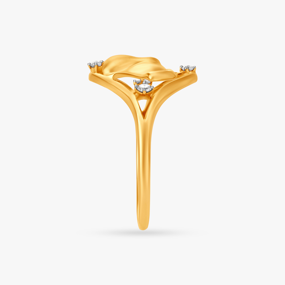 Splendid Chaturbhuj Ring,,hi-res image number null
