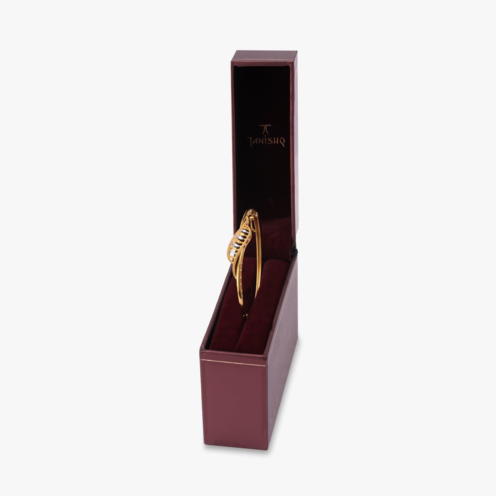 Radiance of Distinctive Elegance Bangle,,hi-res image number null