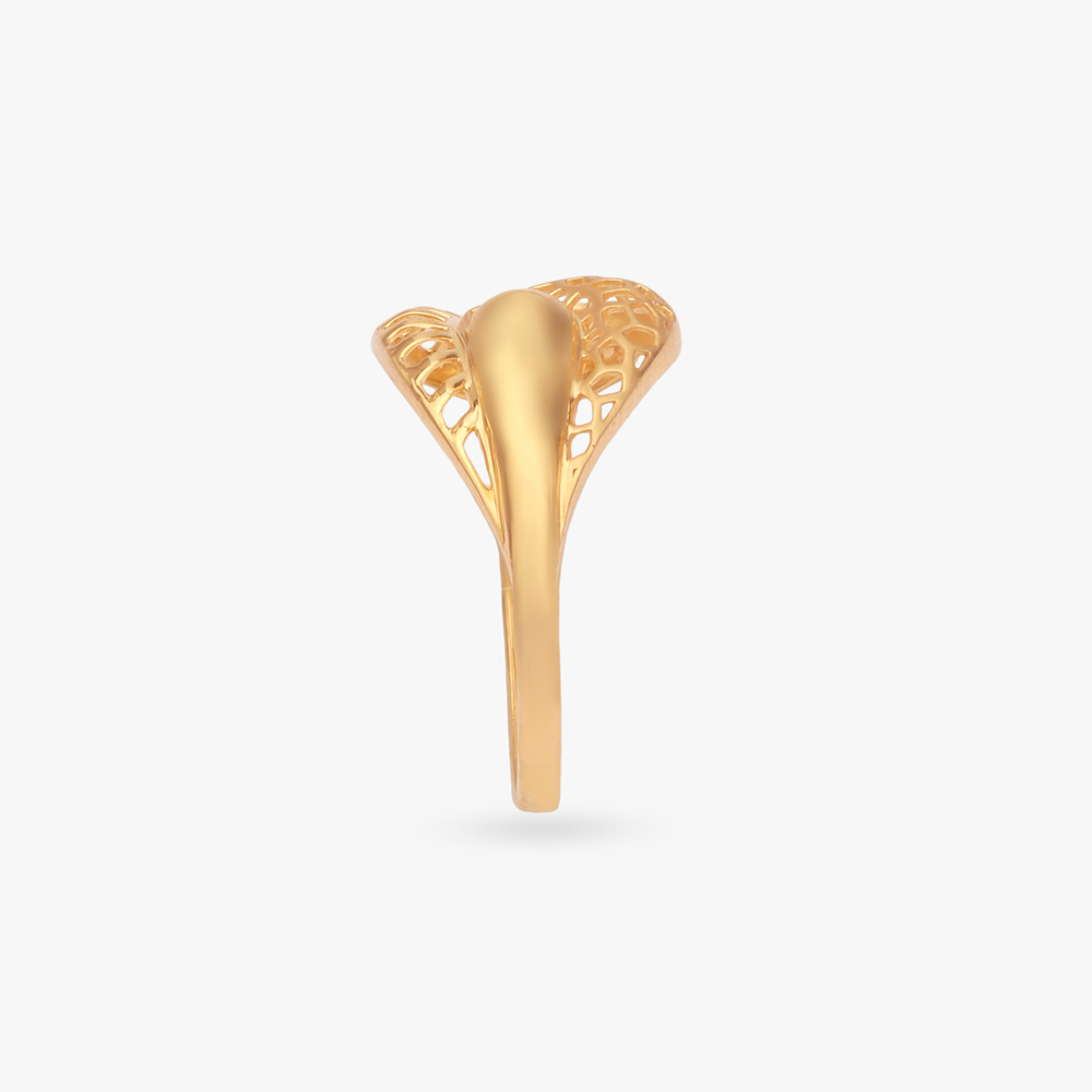 Spiral Aura Gold Ring,,hi-res image number null