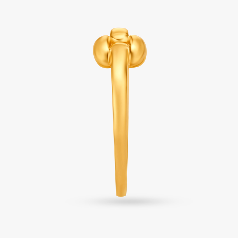 Impeccable Belt Ring,,hi-res image number null