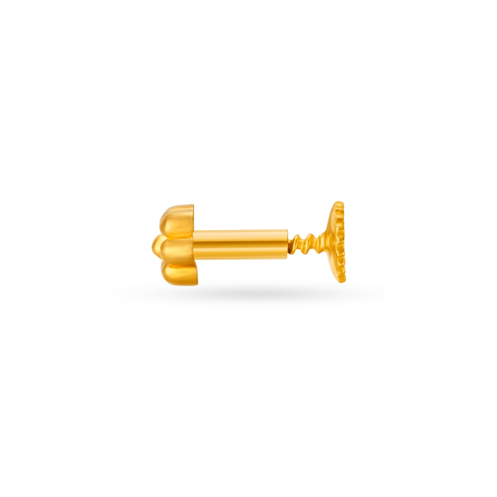 Subtle Gold Nose Pin,,hi-res image number null