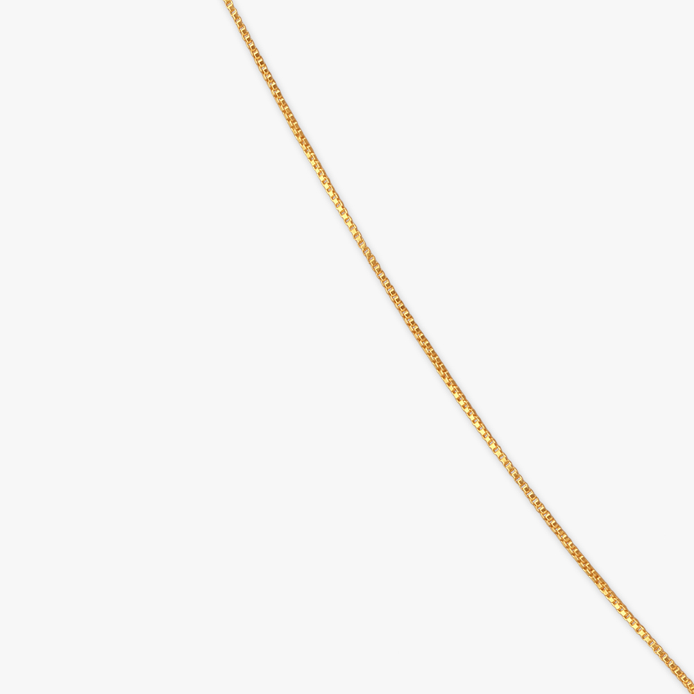 Temple Tassel Gold Chain,,hi-res image number null