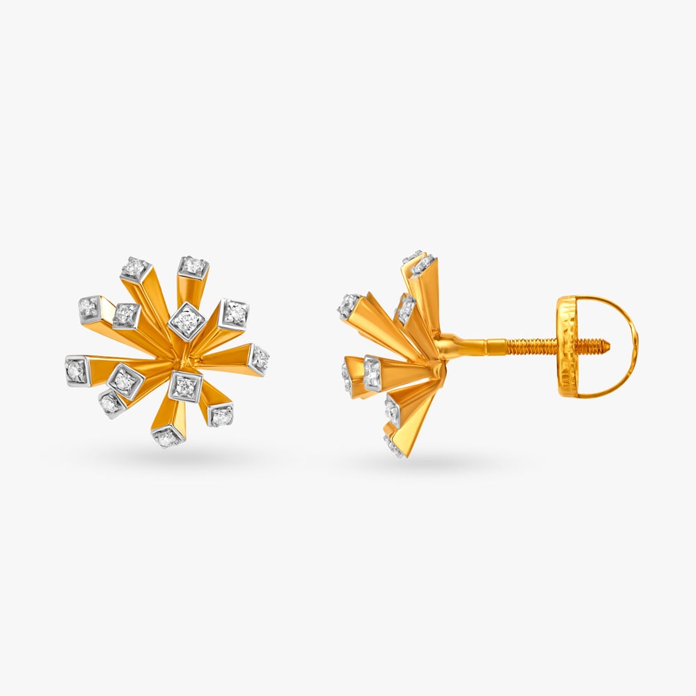 Twinkle of Eye Earrings,,hi-res image number null