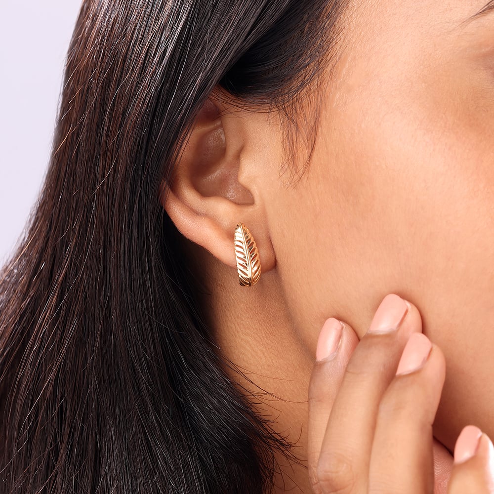 Timeless 14K Yellow Gold Feather Hoop Earrings,,hi-res image number null
