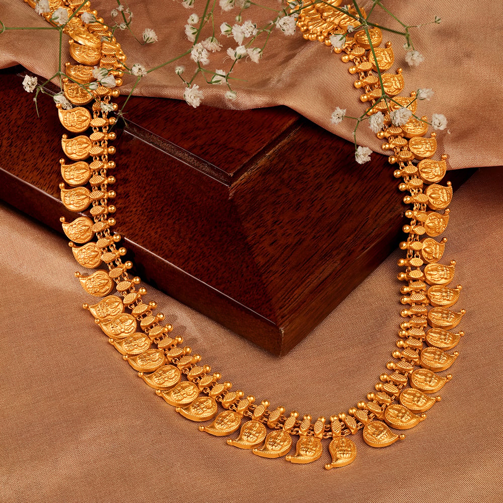 Elegant Mango Gheroo Haram,,hi-res image number null