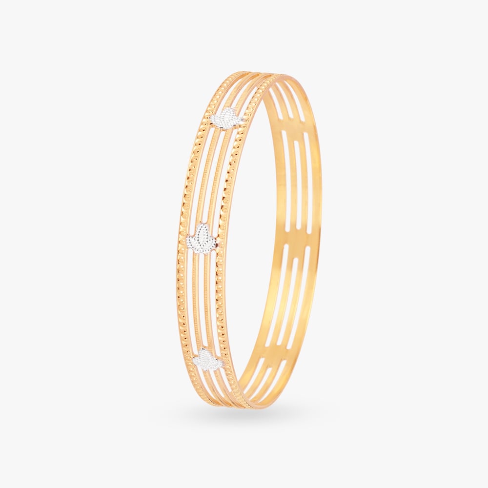 Gleaming Bangle,,hi-res image number null