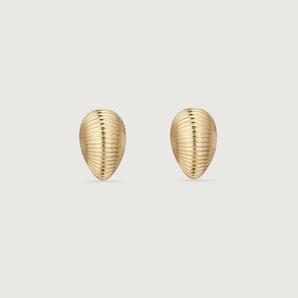Ribbed Shell Gold Stud Earrings,,hi-res image number null