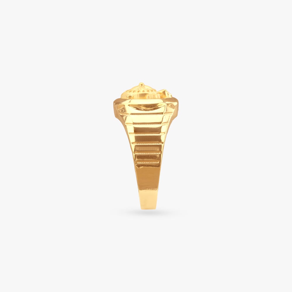 Regal Tortoise Gold Ring for Men,,hi-res image number null