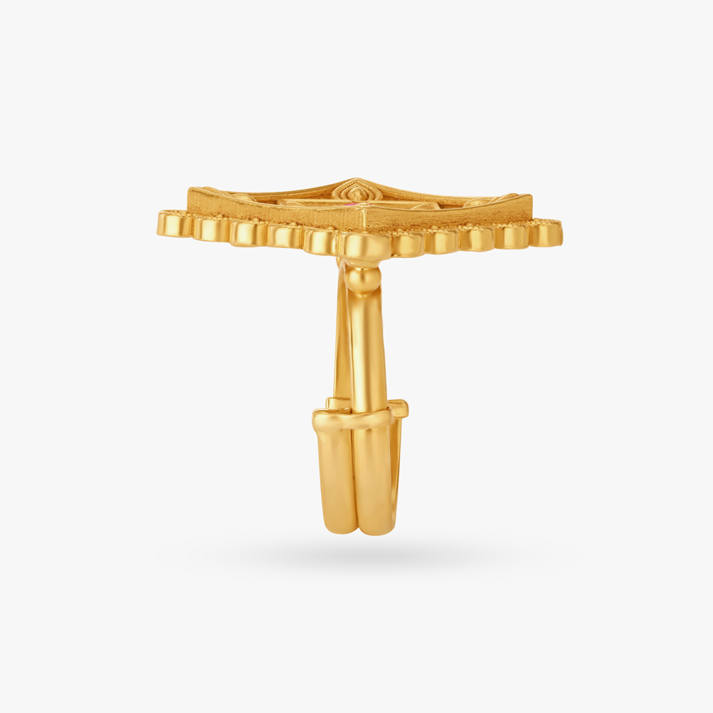 The Ramappa Stepped Ring,,hi-res image number null