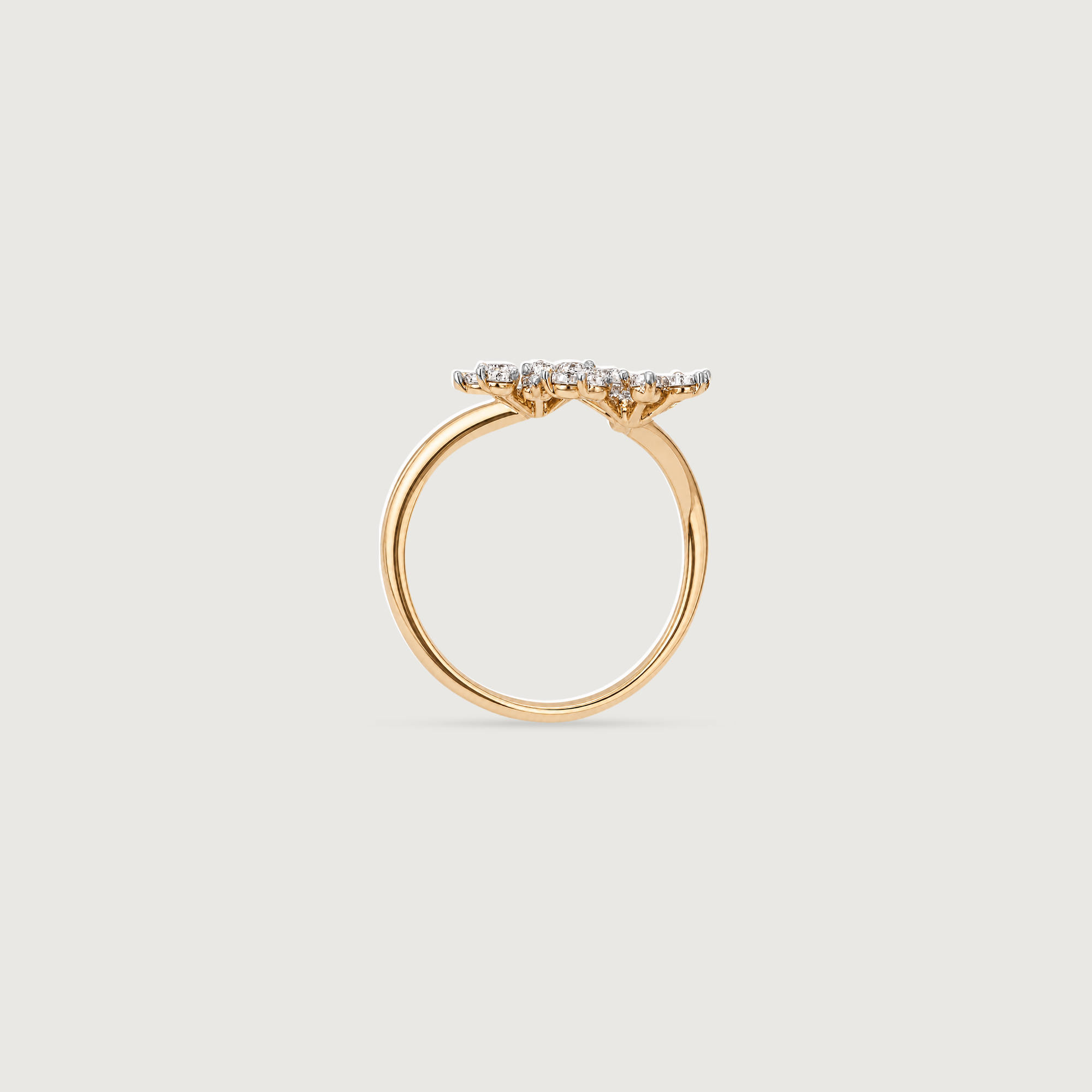 Blooming Radiance Diamond Ring,,hi-res image number null
