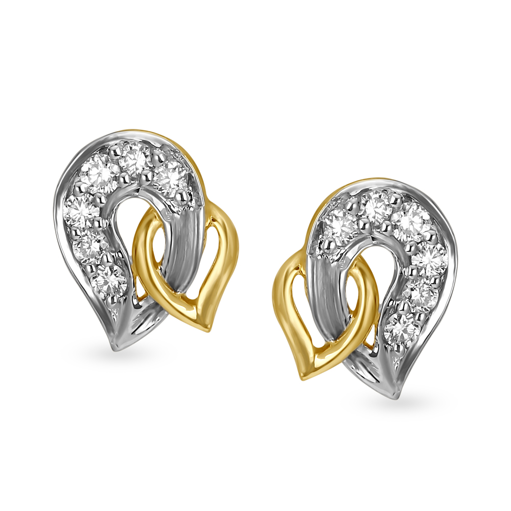 Dual Tone Earrings