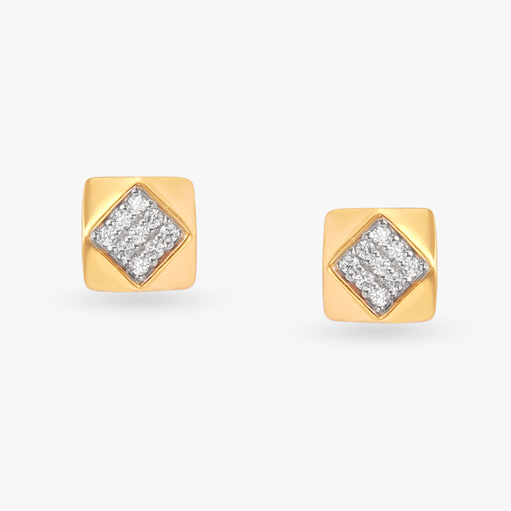 

Dazzling Stud Earrings