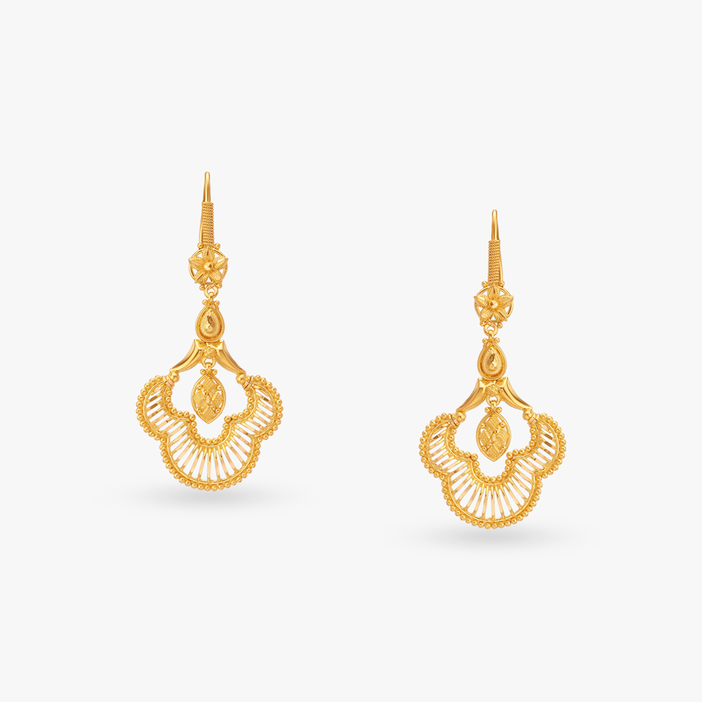 Elegant Gold Hoop Earrings,,hi-res image number null