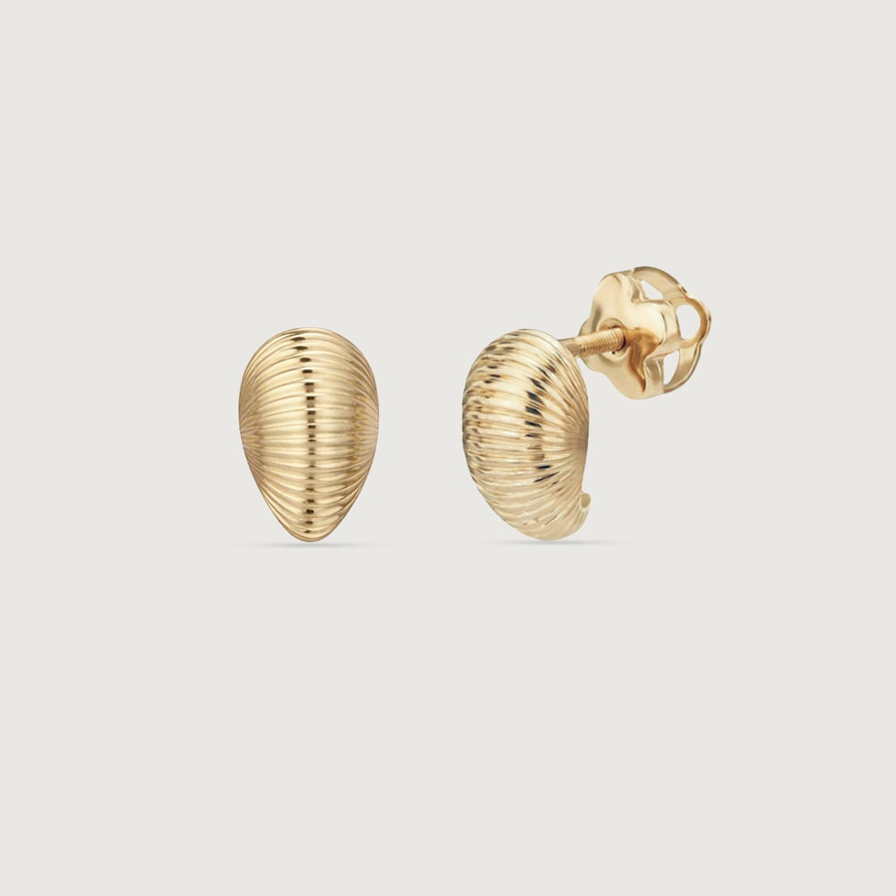 Ribbed Shell Gold Stud Earrings,,hi-res image number null
