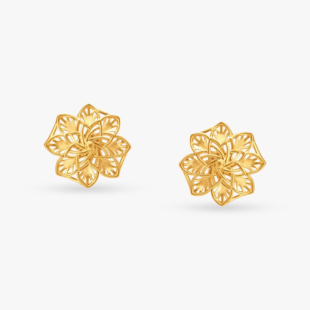 Natural Beauty Stud Earrings,,hi-res image number null